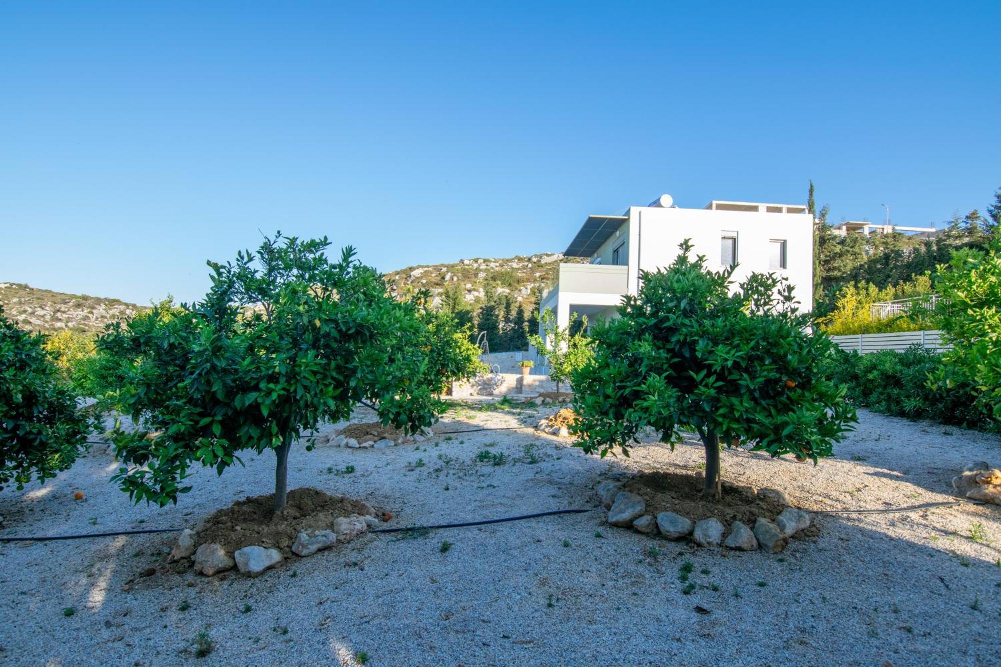 Κatakis Villas Άγιος Ονούφριος Εξωτερικό φωτογραφία