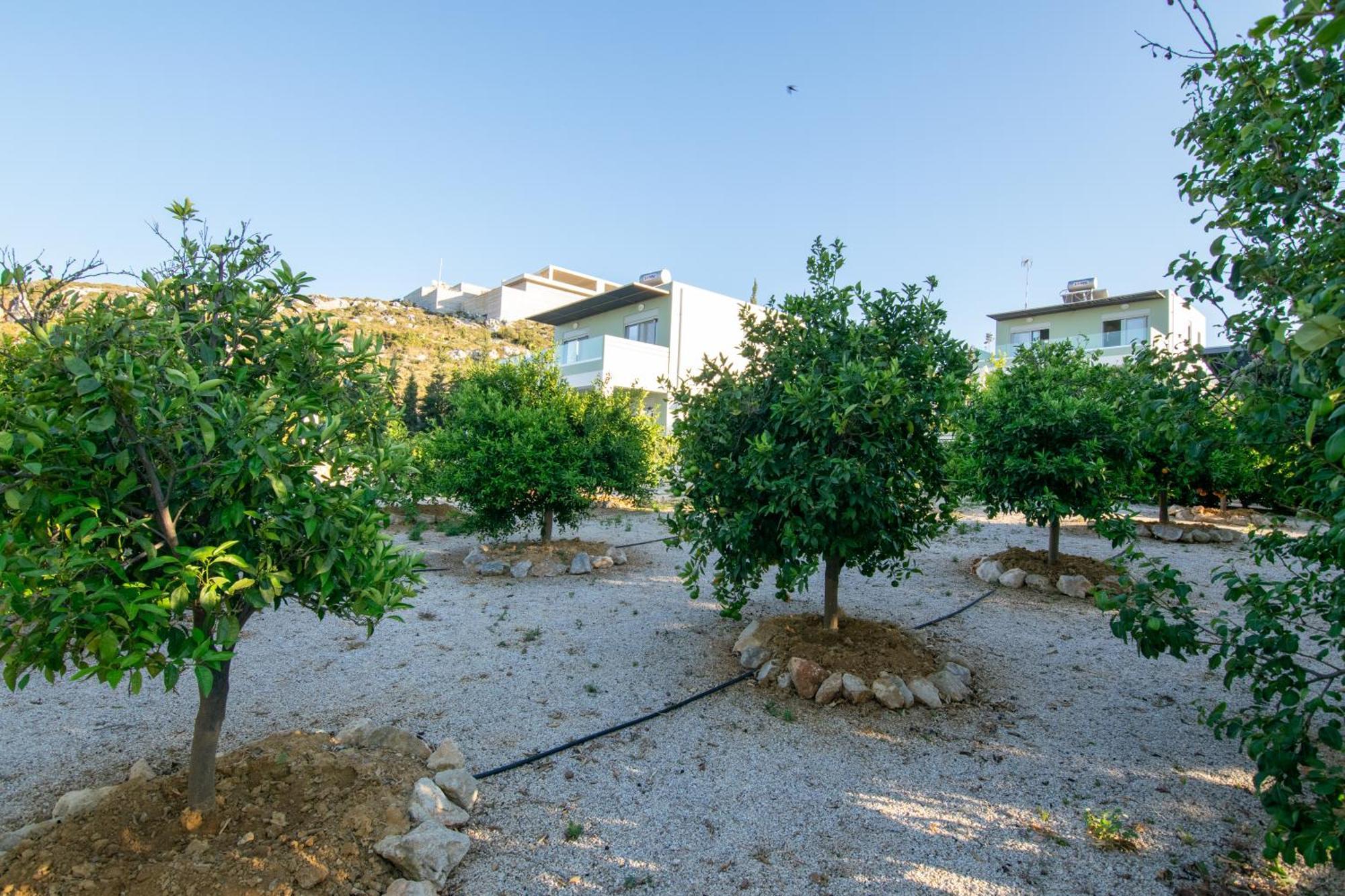 Κatakis Villas Άγιος Ονούφριος Εξωτερικό φωτογραφία