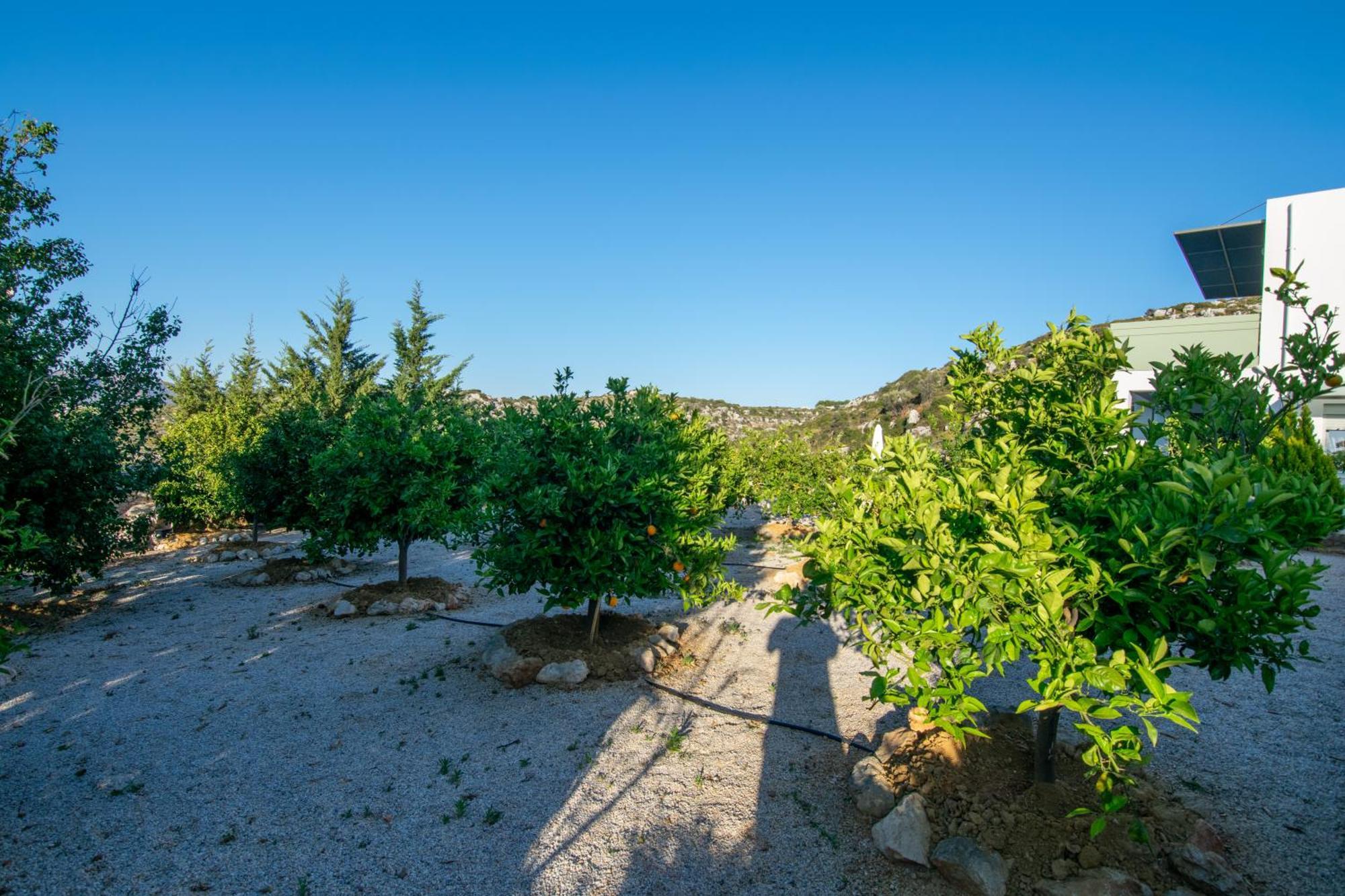 Κatakis Villas Άγιος Ονούφριος Εξωτερικό φωτογραφία