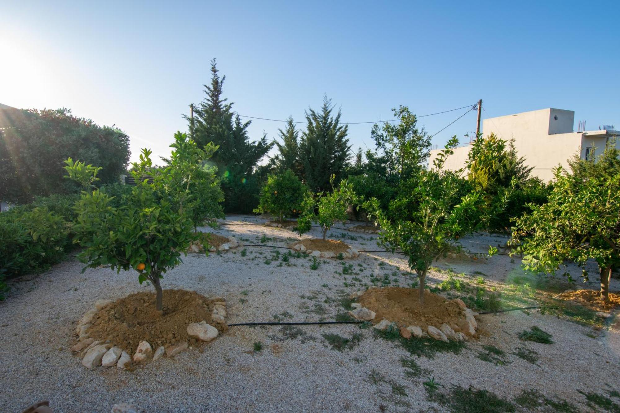 Κatakis Villas Άγιος Ονούφριος Εξωτερικό φωτογραφία