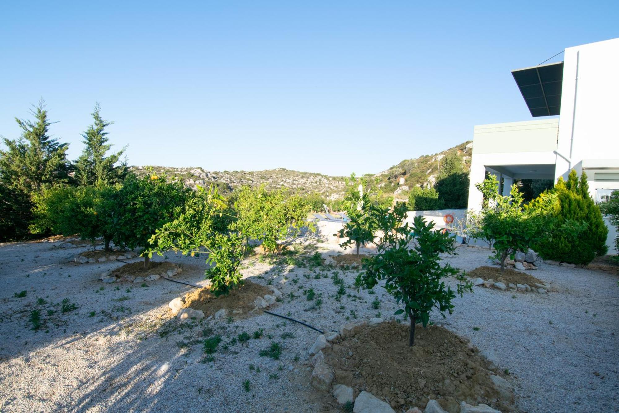 Κatakis Villas Άγιος Ονούφριος Εξωτερικό φωτογραφία