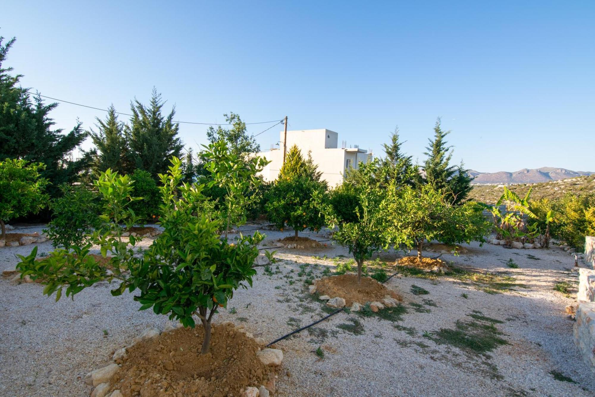 Κatakis Villas Άγιος Ονούφριος Εξωτερικό φωτογραφία