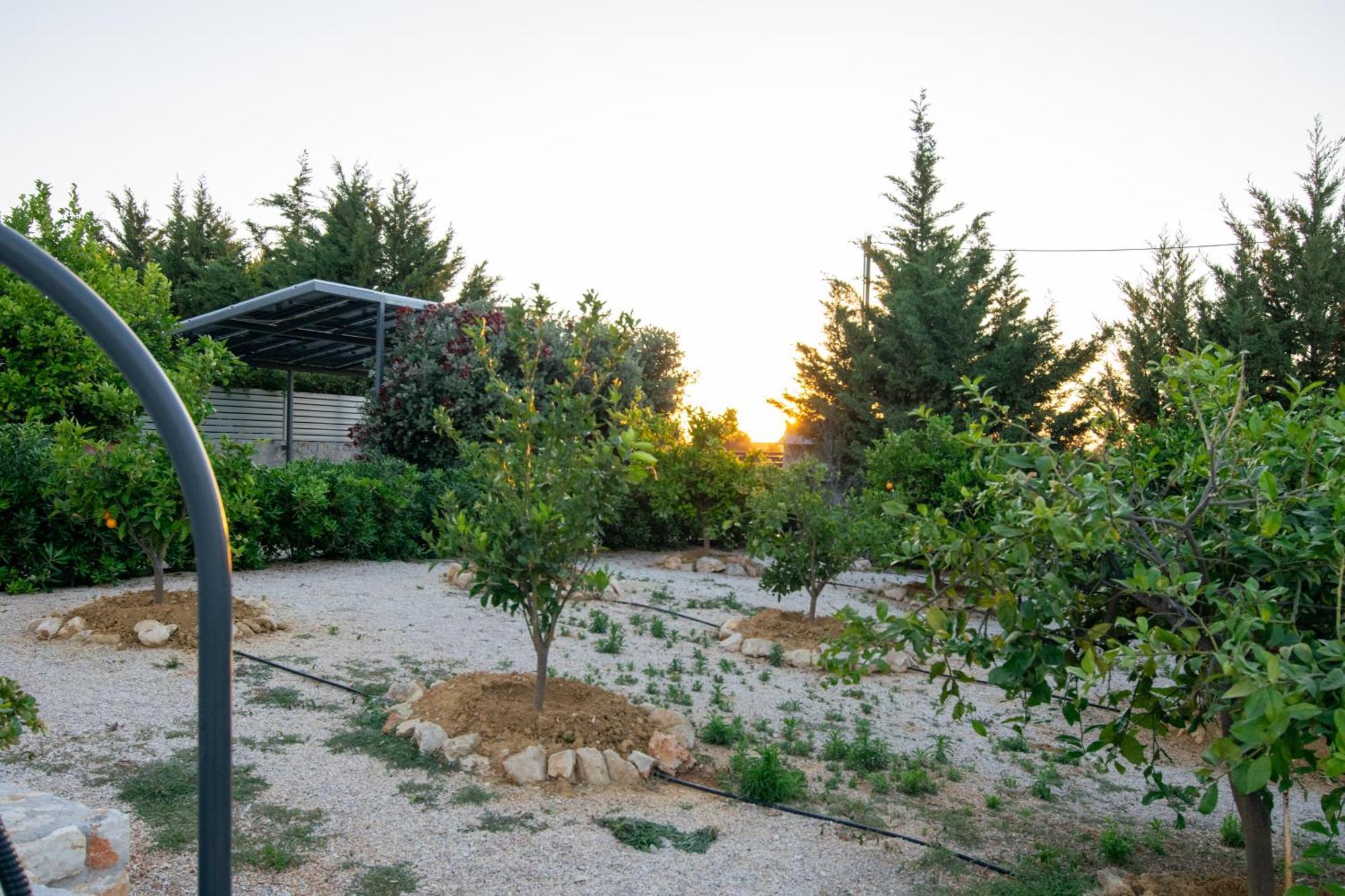 Κatakis Villas Άγιος Ονούφριος Εξωτερικό φωτογραφία