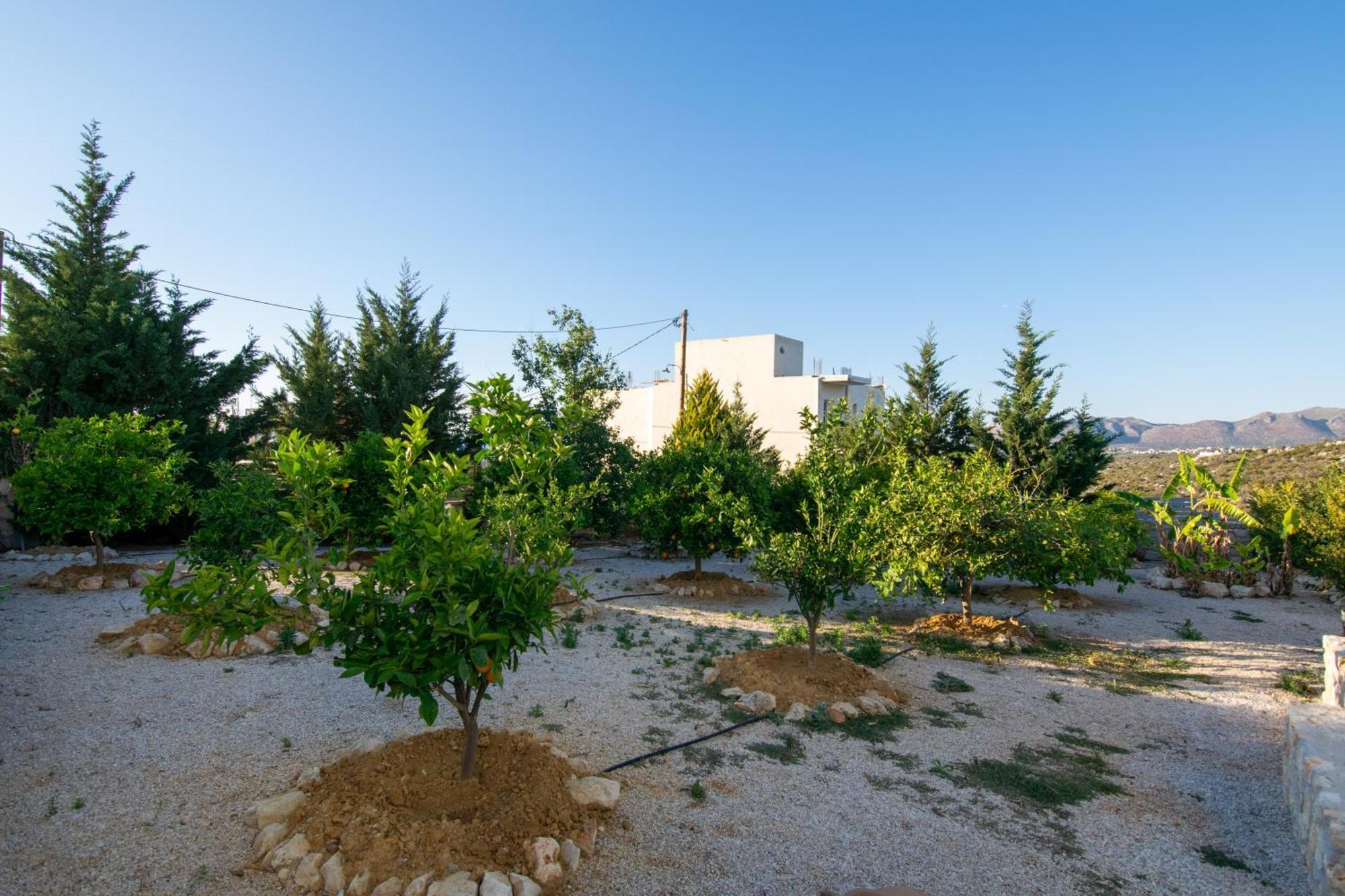 Κatakis Villas Άγιος Ονούφριος Εξωτερικό φωτογραφία